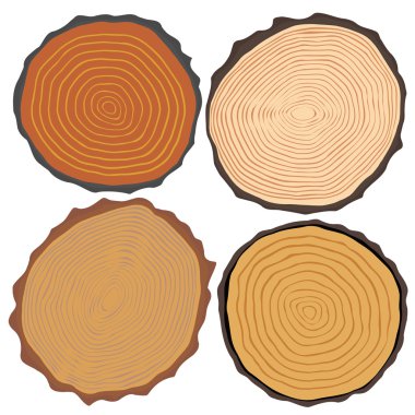 Ahşap doku ve elemanları izole. Vektör çizim