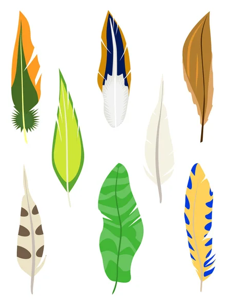 Set of feathers. Isolated on white. Vector illustration. — Stock Vector