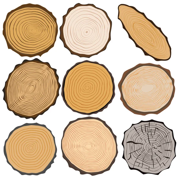 Trä textur och isolerade beståndsdelar. Vektor illustration — Stock vektor