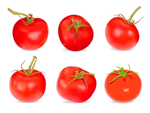 Conjunto de tomates vermelhos realistas —  Vetores de Stock