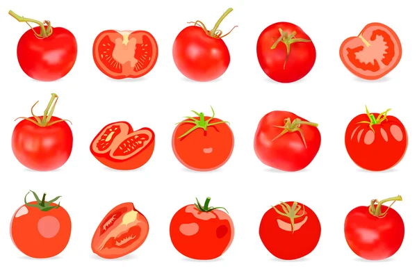 Set realistischer roter Tomaten — Stockvektor