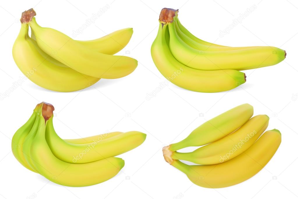 Set of Bananas. Realistic Vector illustration. Isolated on white