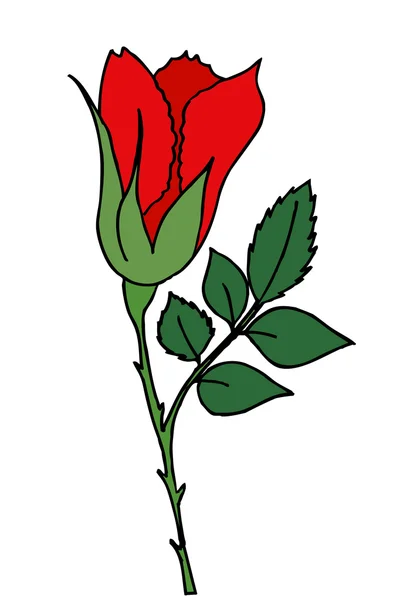 Ilustração vermelha brilhante do vetor da mola da flor da rosa isolada em wh — Vetor de Stock