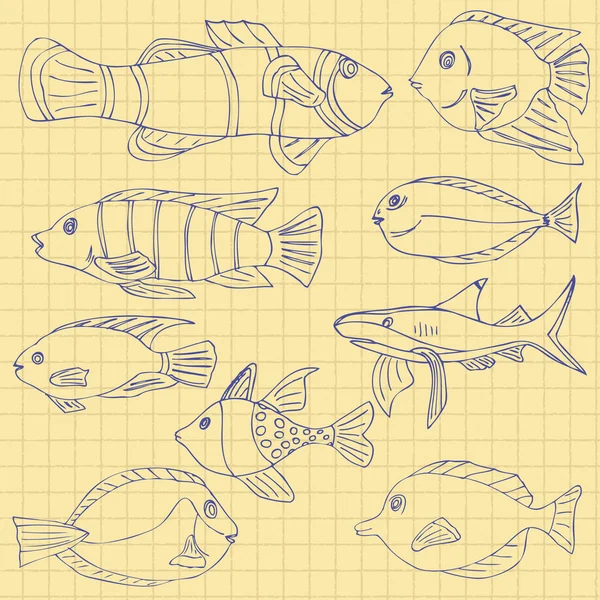 Skiss över havet fisk på en skola anteckningsbok i en bur. Doodle vektor — Stock vektor