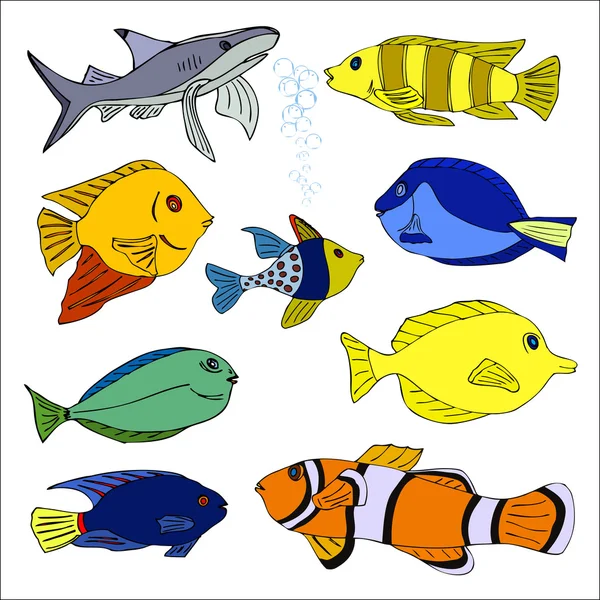 Набор тропических рыб. Векторная иллюстрация — стоковый вектор