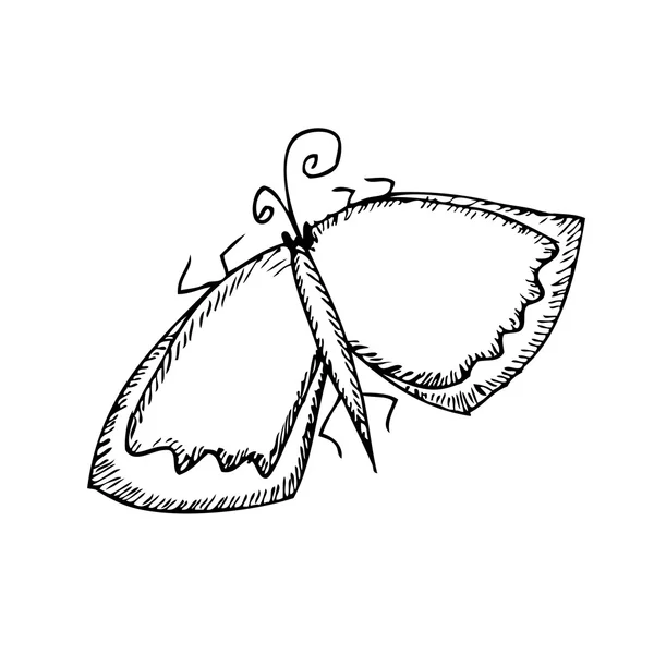 Butterfly skiss. Vektor illustration. Isolatrd på vit — Stock vektor