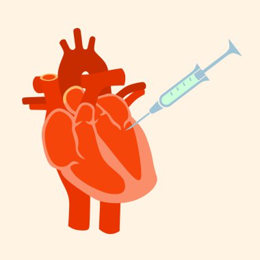 The human heart with a syringe clipart
