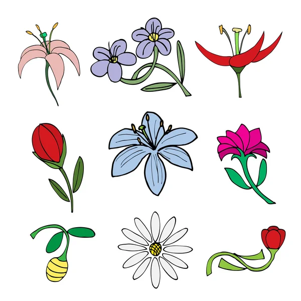 Doodles Flowers collection — Stock Vector