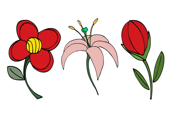 Doodles Collection Fleurs . — Image vectorielle