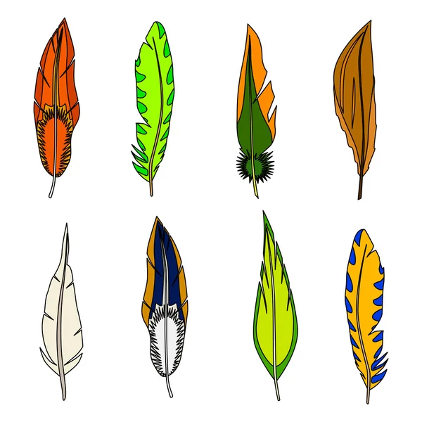 Set of feathers. — Stock Vector