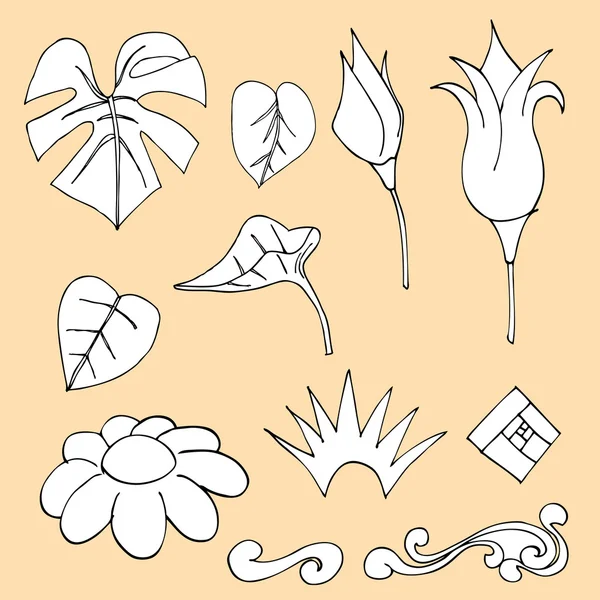 Γραμμικό σχέδιο doodle λουλούδια, διάνυσμα χέρι συρμένη απεικόνιση — Διανυσματικό Αρχείο