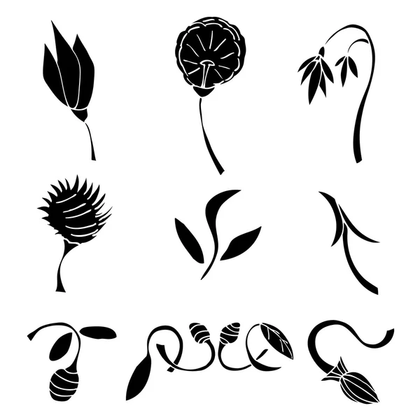 Conjunto de elementos de diseño de flores negras — Vector de stock