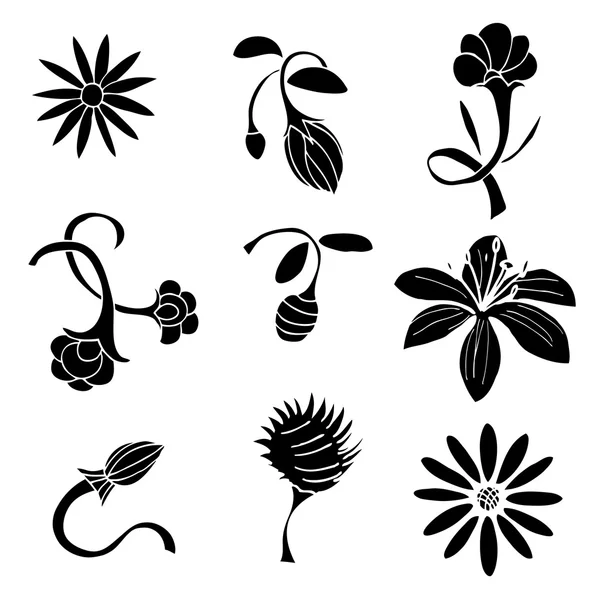 Conjunto de elementos de diseño de flores negras — Vector de stock