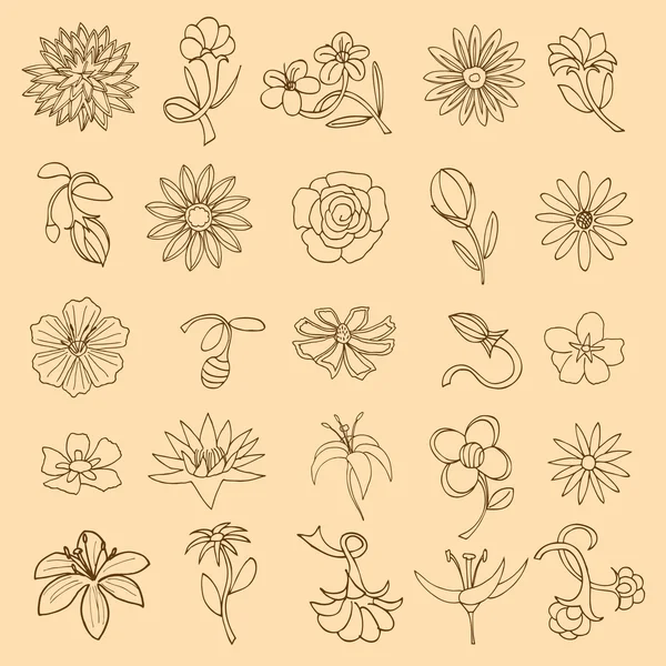 Ensemble de fleurs isolé. Illustration vectorielle — Image vectorielle