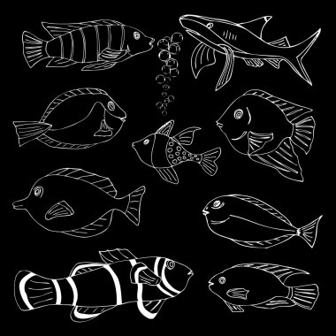 Deniz balık taslağını