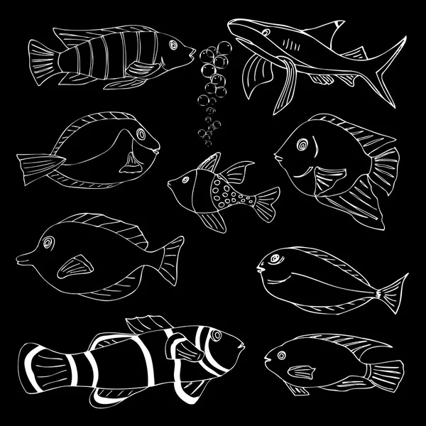 Croquis des poissons de mer — Image vectorielle