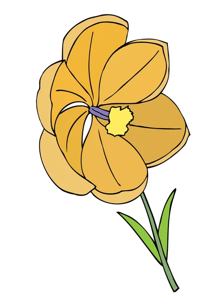 Schöne Blume. — Stockvektor