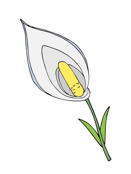 Belle fleur . — Image vectorielle