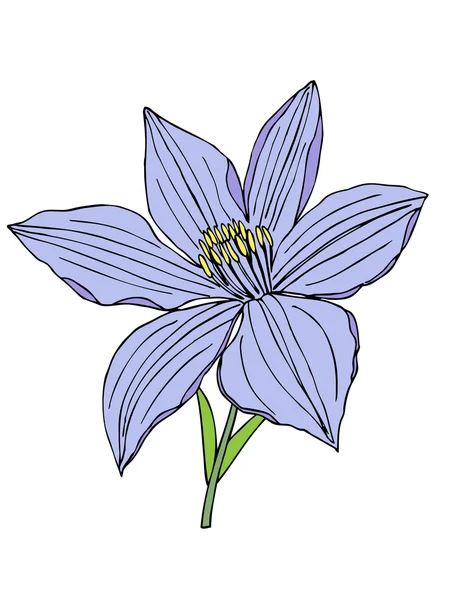 Hermosa flor . — Archivo Imágenes Vectoriales