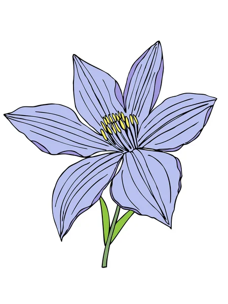 Hermosa flor . — Vector de stock