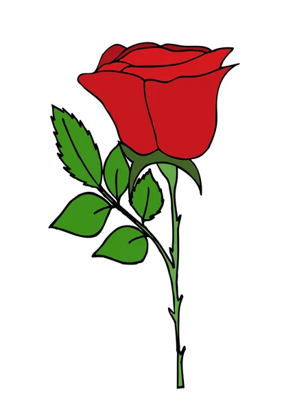 Rosa roja brillante — Vector de stock