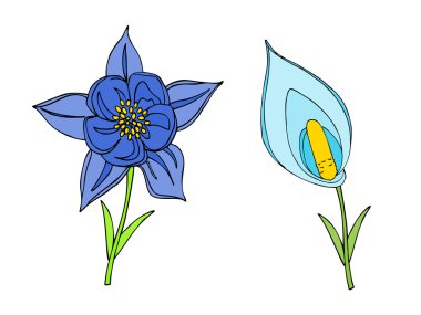 Doodles'ın çiçek koleksiyonu. 