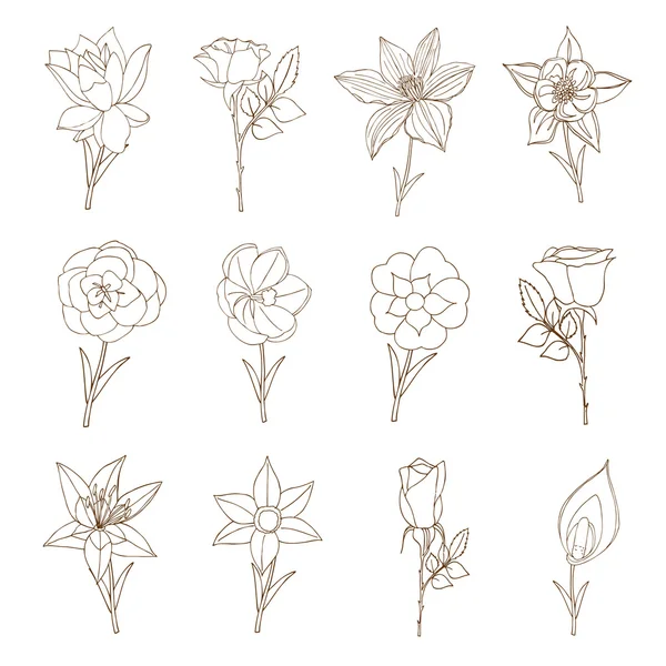 Doodles Collection Fleurs . — Image vectorielle