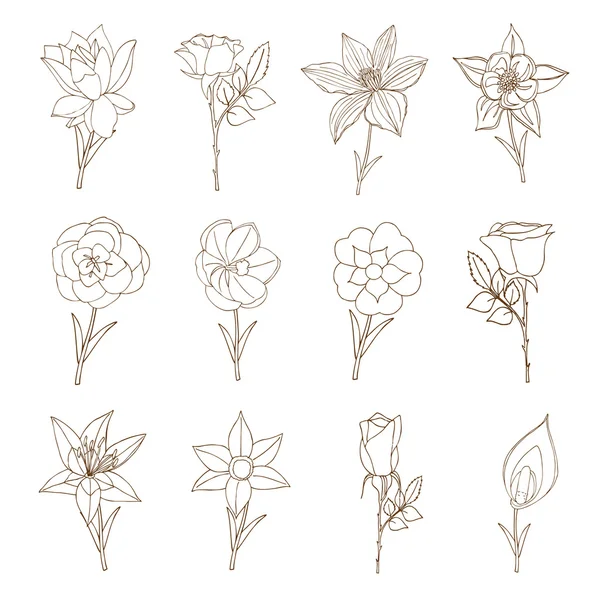 Doodles bloemen collectie. — Stockvector