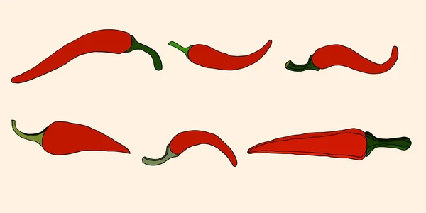Pepper, vector illustration — Stock Vector