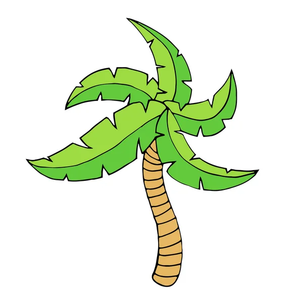 Palmera tropical — Vector de stock