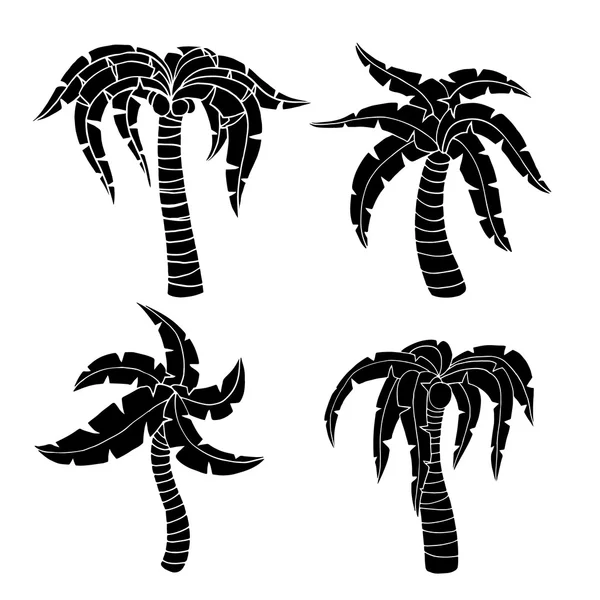 Palm tree — Stock Vector