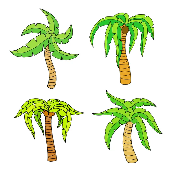 Palm tree — Stock Vector