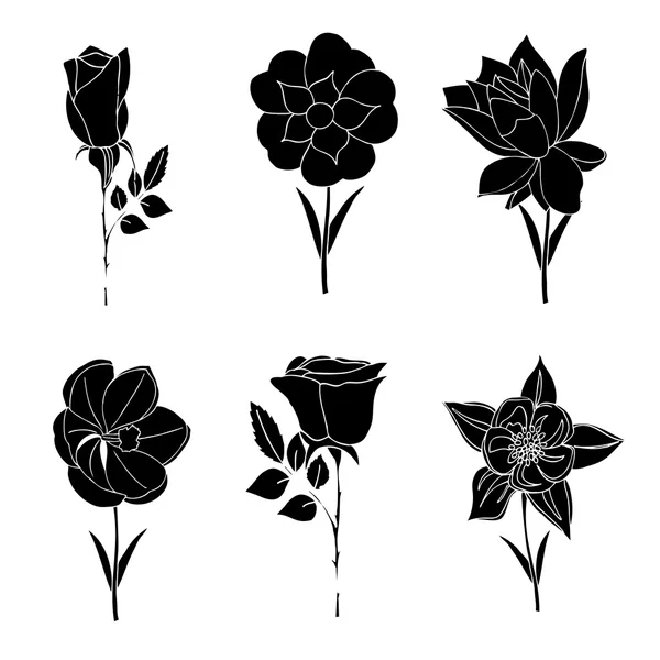 Set flowers — Stock Vector