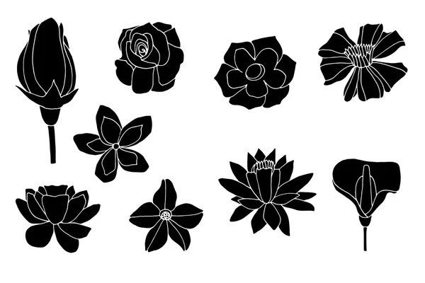 Set flowers — Stock Vector