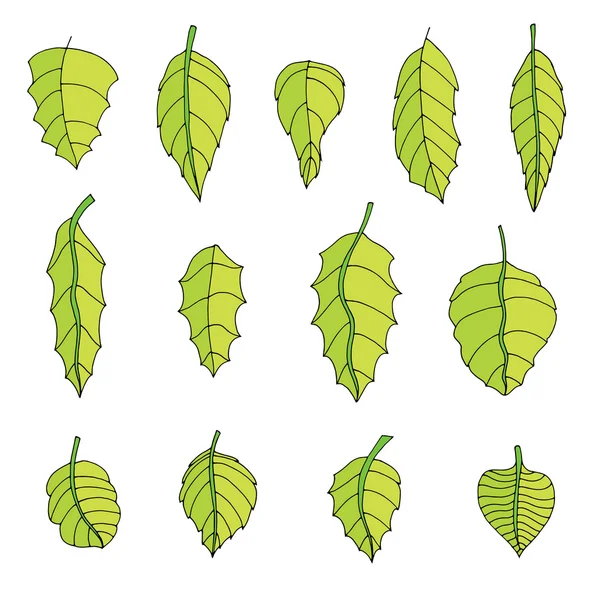 잎 세트 — 스톡 벡터