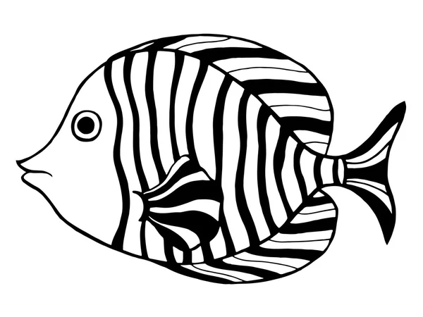 Handgezeichneter Fisch — Stockvektor