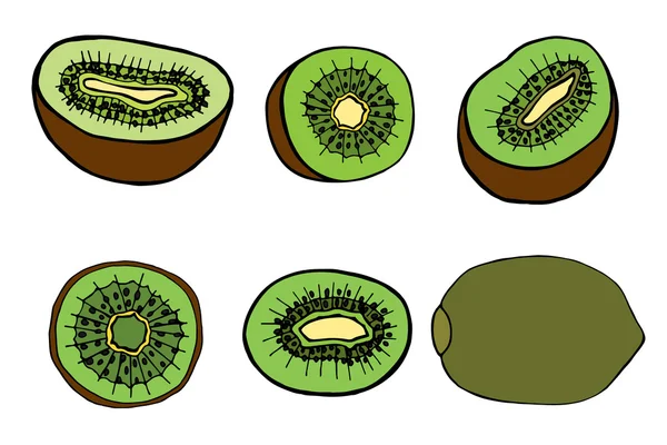 Kiwi aux fruits — Image vectorielle