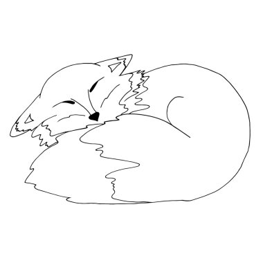 gülümseyen bir kedi