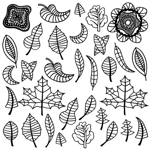 Leaves — Stock Vector