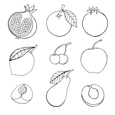 voertuig Redgereedschappen