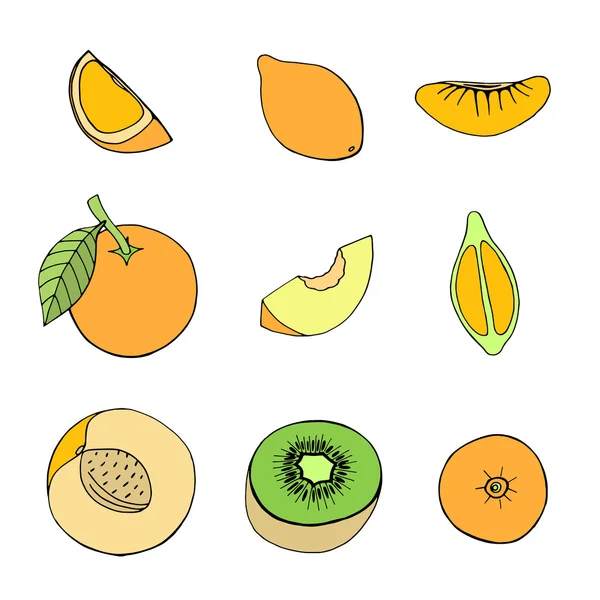 Набор различных фруктов — стоковый вектор