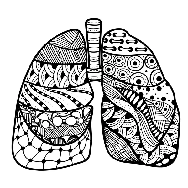 Pulmones dibujados a mano — Archivo Imágenes Vectoriales