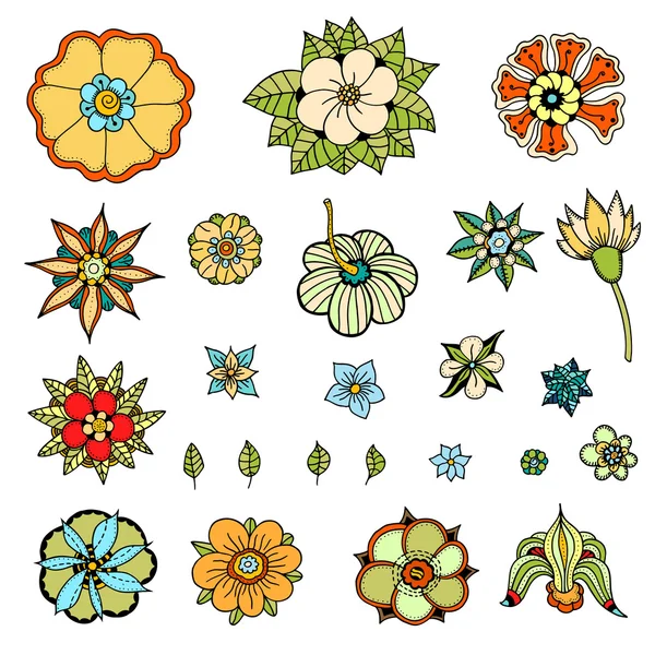 Varias flores, hojas — Archivo Imágenes Vectoriales