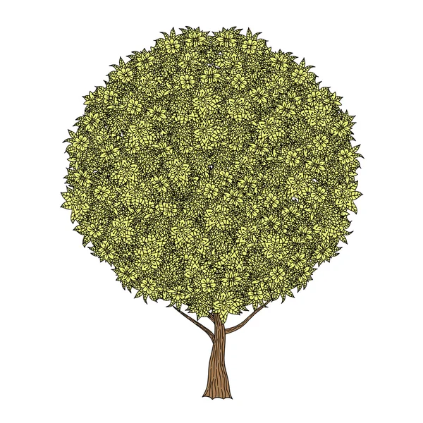 Árvore com folhas — Vetor de Stock