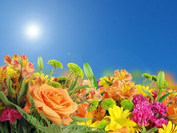 Çiçekler ve mavi gökyüzü arka plan — Stok fotoğraf