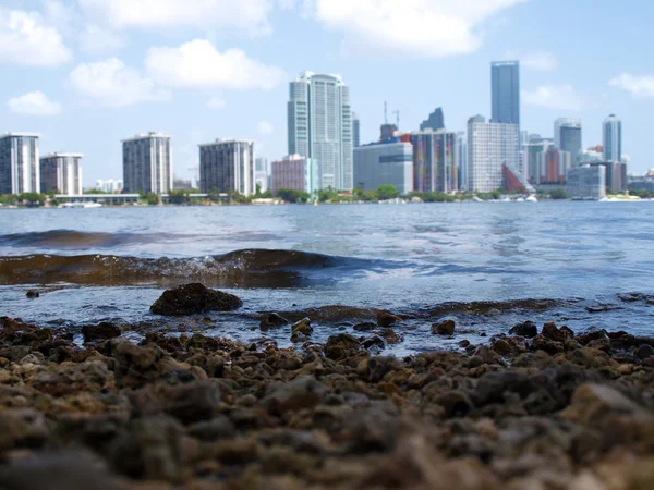 O horizonte de Miami — Fotografia de Stock