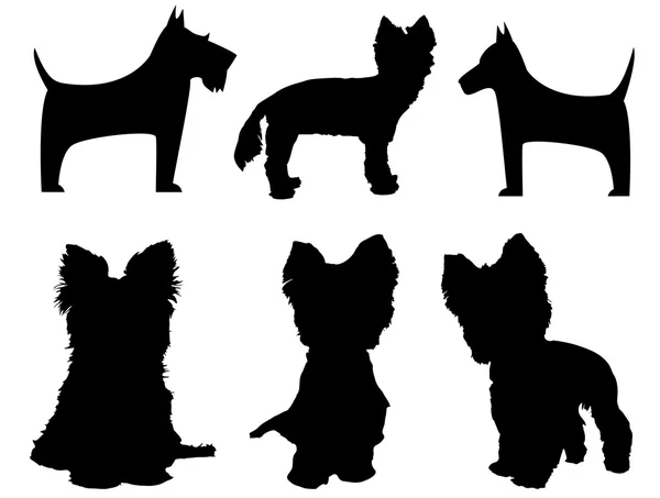 Small dog silhouettes  (Yorkshire Terrier and Schnauzer) — Stock Vector