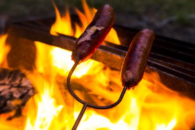 Hot Dog'kamp yangın kavurma