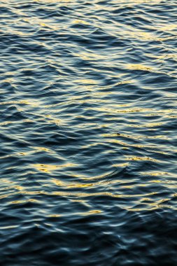 doku su ripples