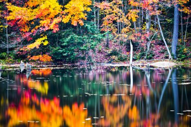 Sonbahar Gölü yansımalar